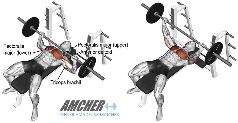 Domowy plan treningowy