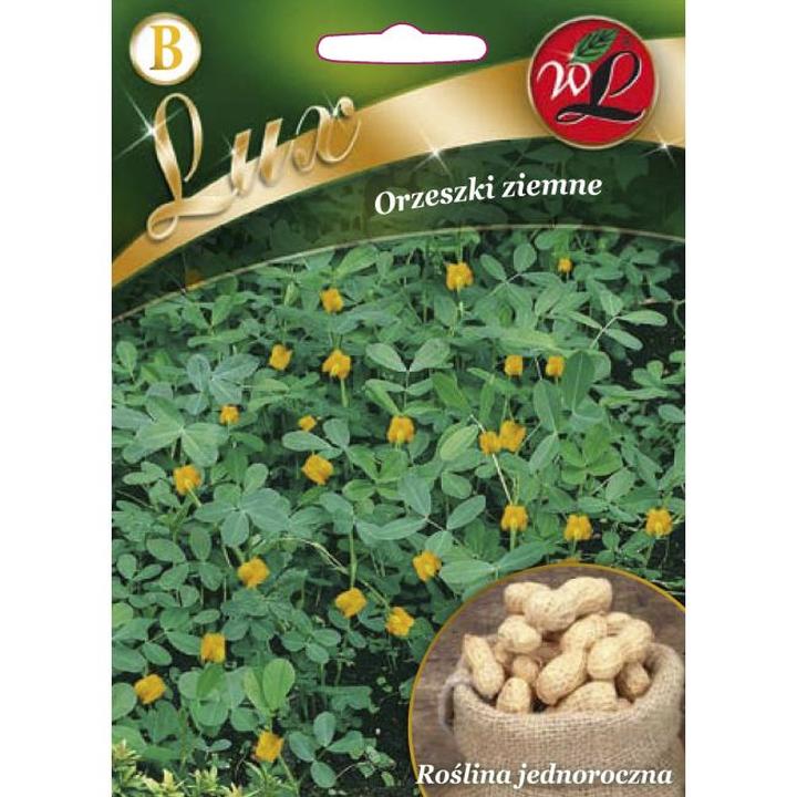 Orzeszki ziemne a metabolizm