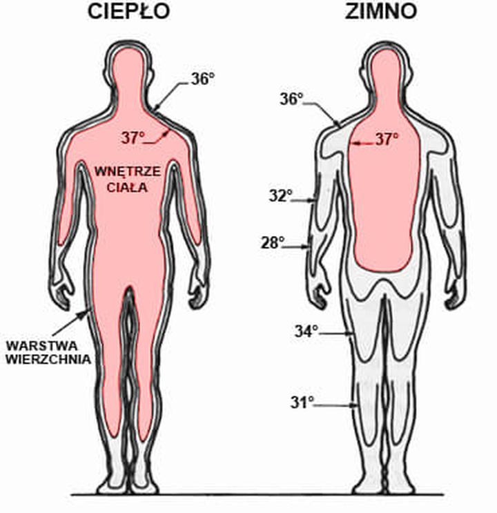 Pomiar temperatury ciała