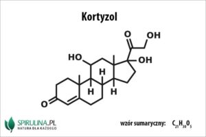 Kortyzol: Jakie są normy, na czym polega badanie i ile kosztuje?
