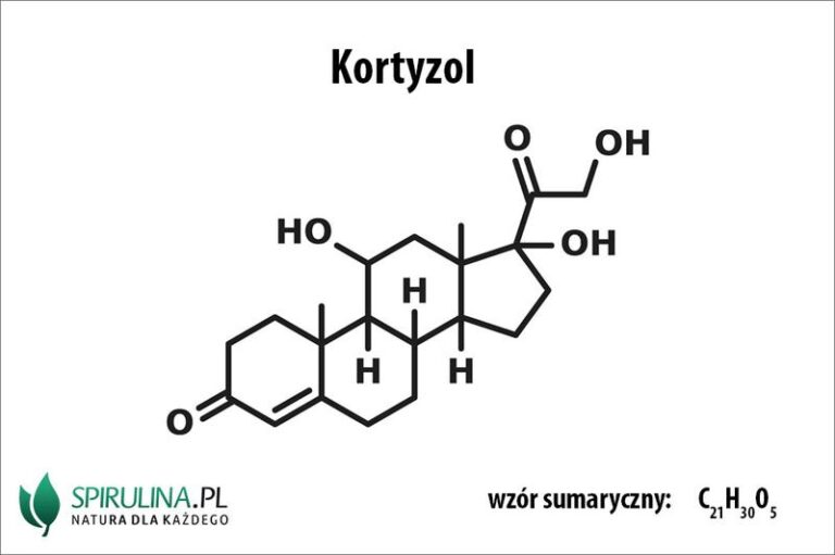 Kortyzol: Jakie są normy, na czym polega badanie i ile kosztuje?
