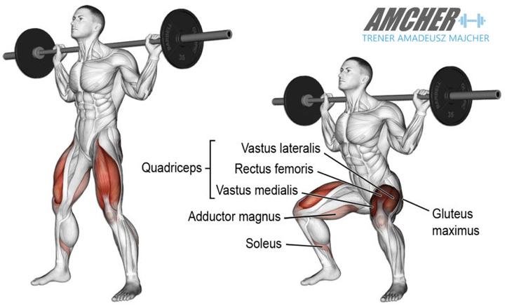 Domowa siłownia i motywacja