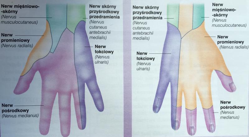 Technika ćwiczeń a dolegliwości
