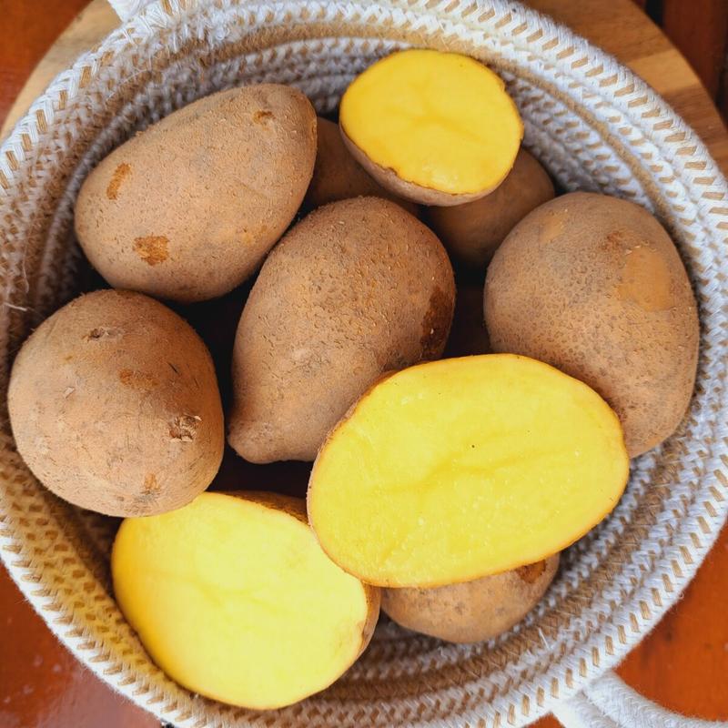 Czy ziemniaki tuczą? Obalamy mity i odkrywamy fakty!