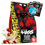 Białko czy gainer – co wybrać dla optymalnych wyników w treningu?