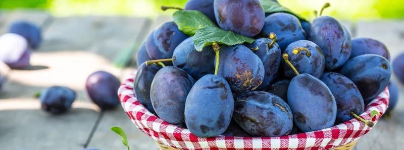 Kaloryczność śliwek