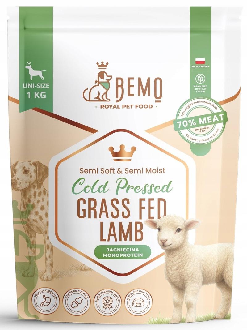 Niesamowite osiągnięcia zwierząt